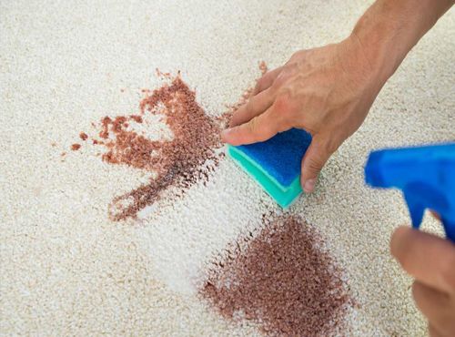 Complete spot and stain removal service