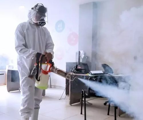 fogging cleaning services